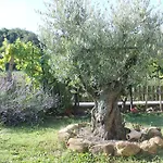 Casa rural Il Poggetto Serra SantʼAbbondio