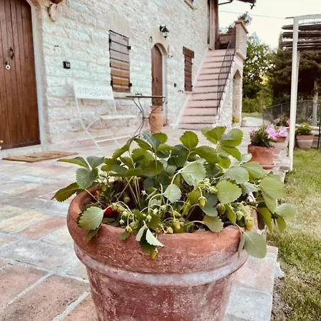 Il Poggetto Casa rural *