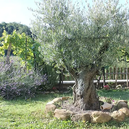 Country house Il Poggetto Serra Sant'Abbondio