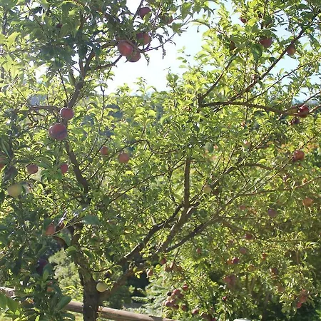Il Poggetto Casa di campagna Serra SantʼAbbondio